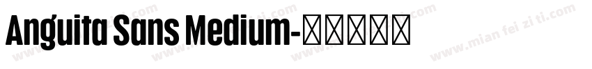 Anguita Sans Medium字体转换